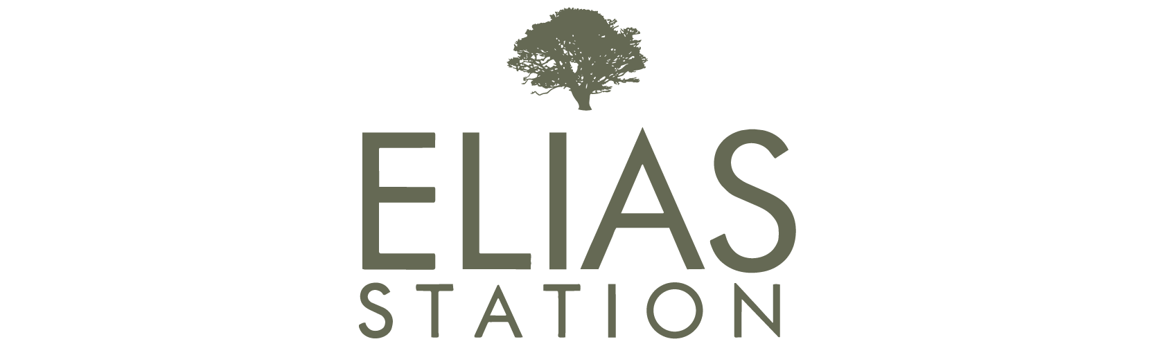 Elias Station community logo
